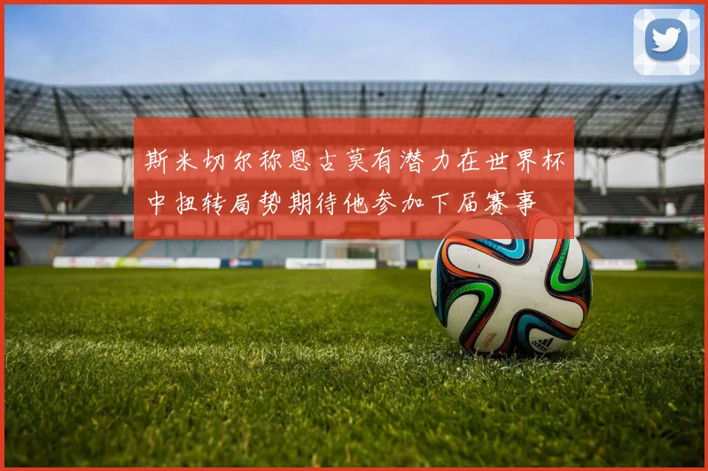 斯米切尔称恩古莫有潜力在世界杯中扭转局势期待他参加下届赛事