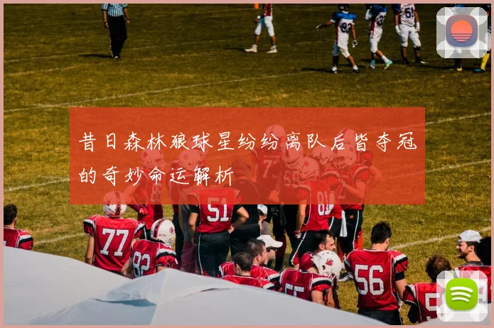 昔日森林狼球星纷纷离队后皆夺冠的奇妙命运解析