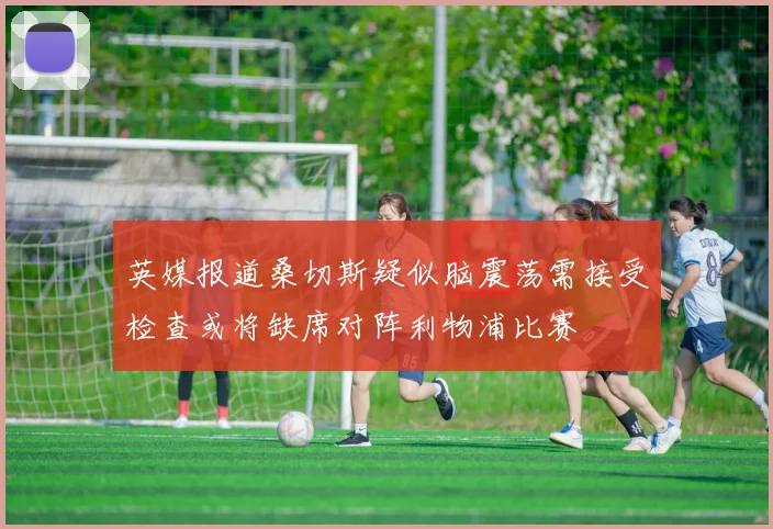 英媒报道桑切斯疑似脑震荡需接受检查或将缺席对阵利物浦比赛