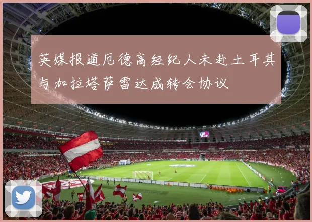 英媒报道厄德高经纪人未赴土耳其与加拉塔萨雷达成转会协议
